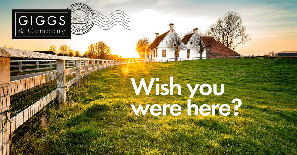 Wish you were here? Wish you were here?