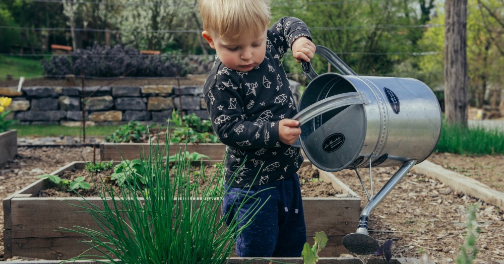 Spring into action and make sure that your garden looks the best for Summer with this to-do list. Spring into action and make sure that your garden looks the best for Summer with this to-do list.