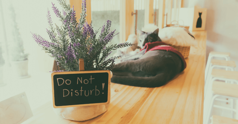 Do Not Disturb - Did you know that you could pause viewings on your property through the Christmas period? Do Not Disturb - Did you know that you could pause viewings on your property through the Christmas period?