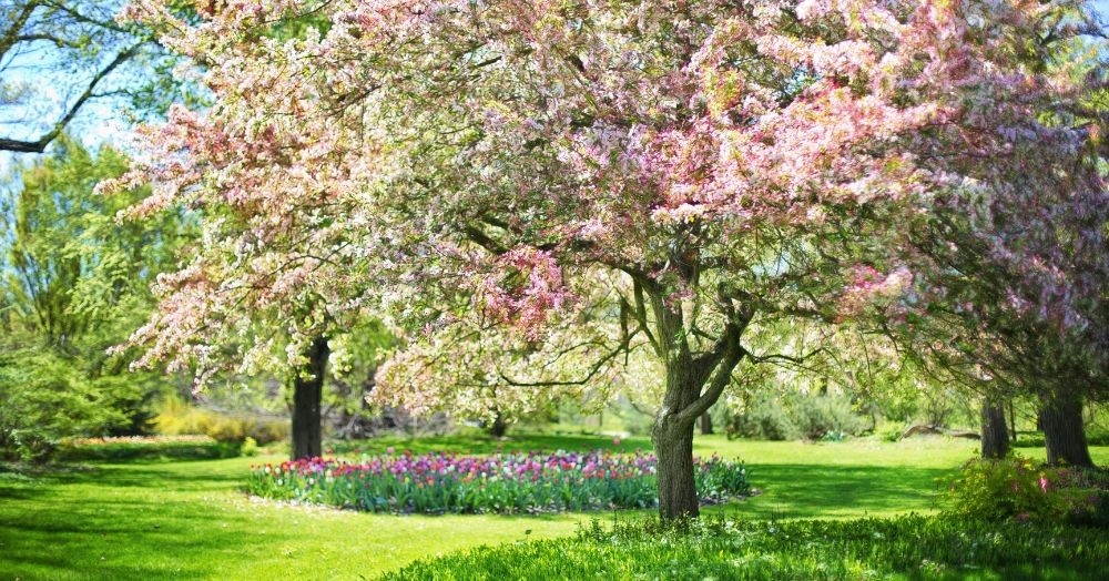 Maximise Your Home Sale - Why Spring could be the Ideal Time Maximise Your Home Sale - Why Spring could be the Ideal Time